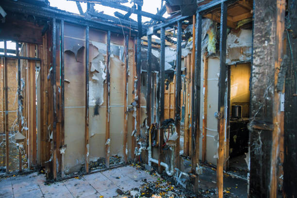 Professional Structural Rebuild technician working in Shafer, MN